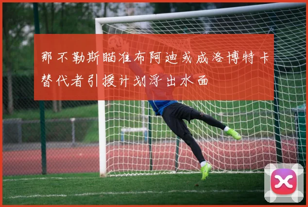 那不勒斯瞄准布阿迪或成洛博特卡替代者引援计划浮出水面