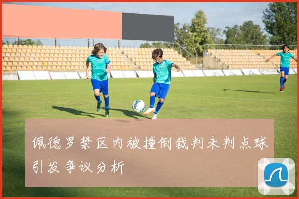 佩德罗禁区内被撞倒裁判未判点球引发争议分析