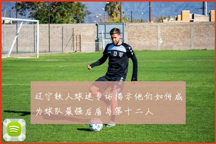 辽宁铁人球迷专访揭示他们如何成为球队最强后盾与第十二人
