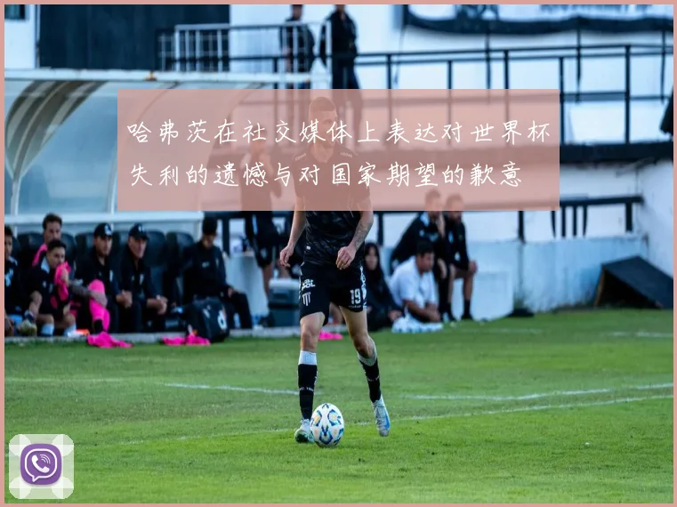 哈弗茨在社交媒体上表达对世界杯失利的遗憾与对国家期望的歉意